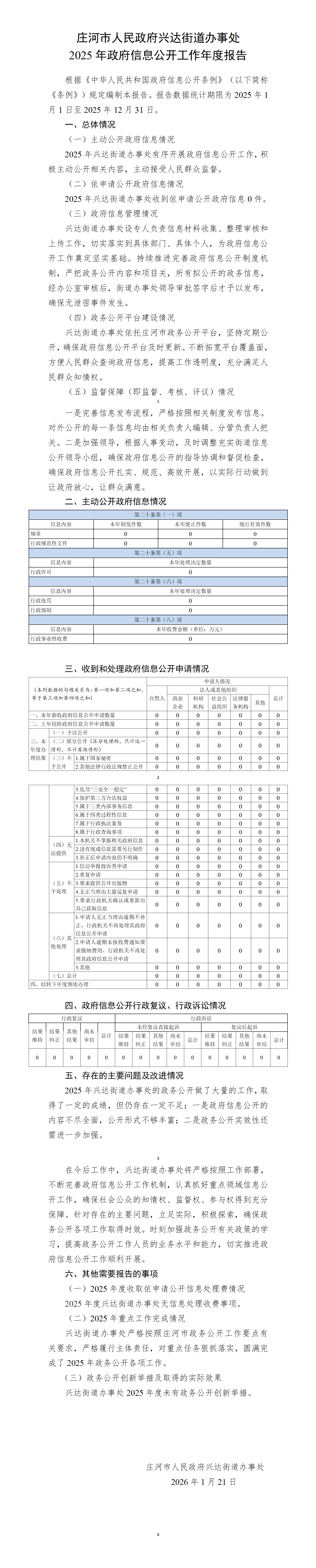兴达街道政府信息公开工作年度报告.png